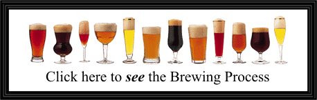 View the Brewing Process